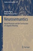 Neurosemantics (eBook, PDF)
