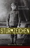 Sturmzeichen (Historischer Roman) (eBook, ePUB)