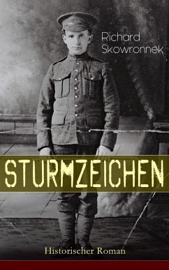 Sturmzeichen (Historischer Roman) (eBook, ePUB) - Skowronnek, Richard