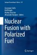 Nuclear Fusion with Polarized Fuel - Bild 1