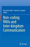 Non-coding RNAs and Inter-kingdom Communication