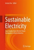 Sustainable Electricity (eBook, PDF)