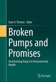 Broken Pumps and Promises (eBook, PDF)