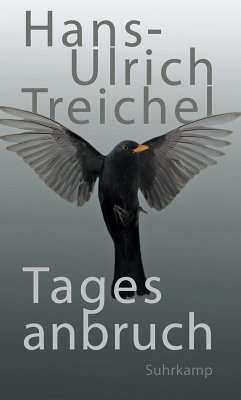 Tagesanbruch (eBook, ePUB) - Treichel, Hans-Ulrich