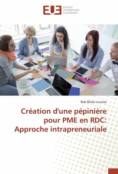 Cover Création d'une pépinière pour PME en RDC: Approche intrapreneuriale