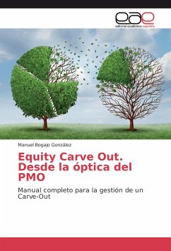 Equity Carve Out. Desde la óptica del PMO - Bogajo González, Manuel