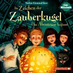 Das Abenteuer beginnt / Im Zeichen der Zauberkugel Bd.1 (1 Audio-CD)