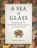 A Sea of Glass (eBook, ePUB)
