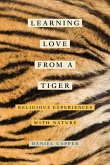 Learning Love from a Tiger (eBook, ePUB)