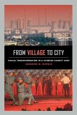 From Village to City (eBook, ePUB)