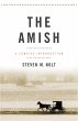 Amish (eBook, ePUB) - Bild 1