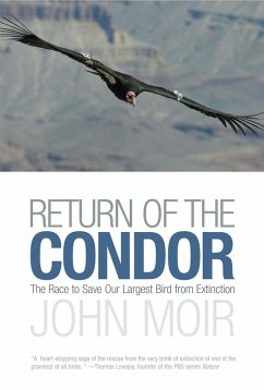 Cover Return of the Condor (eBook, ePUB)