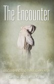 Encounter (eBook, ePUB)