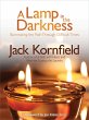 A Lamp in the Darkness (eBook, ePUB) - Bild 1