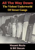 All The Way Down: The Violent Underworld Of Street Gangs (eBook, ePUB)