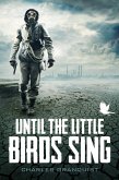 Until the Little Birds Sing (eBook, ePUB)