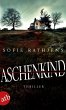 Aschenkind (eBook, ePUB) - Bild 1