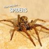 How they live... Spiders (eBook, ePUB) - Bild 1