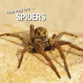 How they live... Spiders (eBook, ePUB)