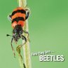 How they live... Beetles (eBook, ePUB) - Bild 1