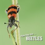 How they live... Beetles (eBook, ePUB)