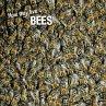 How they live... Bees (eBook, ePUB) - Bild 1
