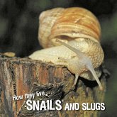 How they live... Snails and Slugs (eBook, ePUB)