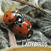 How they live... Ladybirds (eBook, ePUB)