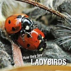 Cover How they live... Ladybirds (eBook, ePUB)