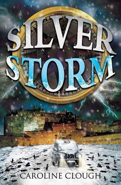 Cover Silver Storm