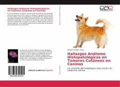 Hallazgos Anátomo Histopatológicos en Tumores Cutáneos en Caninos - Cevallos Varas, Micaela