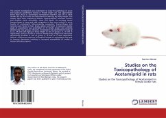 Studies on the Toxicopathology of Acetamiprid in rats