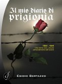 Il mio diario di prigionia (eBook, ePUB)