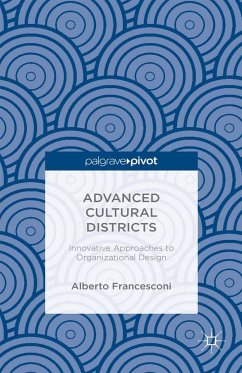 Advanced Cultural Districts (eBook, PDF)