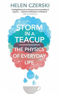 Storm in a Teacup (eBook, ePUB) - Czerski, Helen