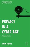 Privacy in a Cyber Age (eBook, PDF)