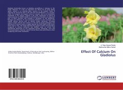 Effect Of Calcium On Gladiolus