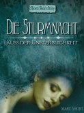 Die Sturmnacht (eBook, ePUB)