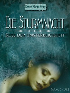 Die Sturmnacht (eBook, ePUB)