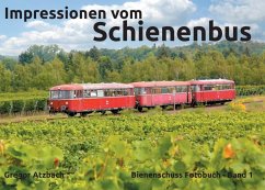 Impressionen vom Schienenbus (eBook, ePUB)