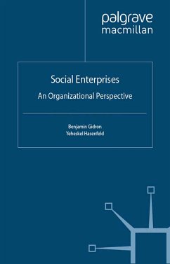 Social Enterprises (eBook, PDF)