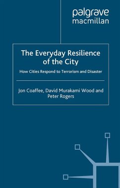 The Everyday Resilience of the City (eBook, PDF)