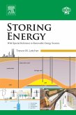 Storing Energy (eBook, ePUB)