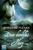 Dein dunkles Herz / Dark Carpathians Bd.28 Dein dunkles Herz / Dark Carpathians Bd.28