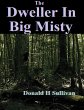 The Dweller In Big Misty (eBook, ePUB) - Bild 1