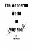 The Wonderful World of Why Not (eBook, ePUB)