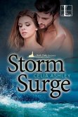 Storm Surge (eBook, ePUB)