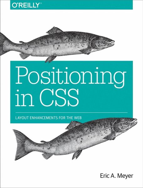 Positioning in CSS (eBook, PDF)