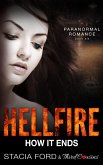 Hellfire - How It Ends (eBook, ePUB)