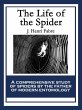 The Life of the Spider (eBook, ePUB) - Bild 1